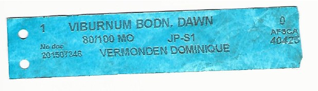 Viburnum Bodn 0001.jpg